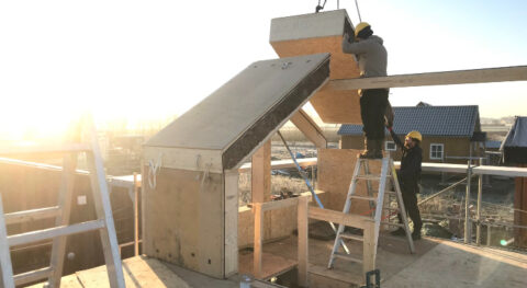 Biobased bouwen: ‘De overheid moet meer ambitie tonen’  