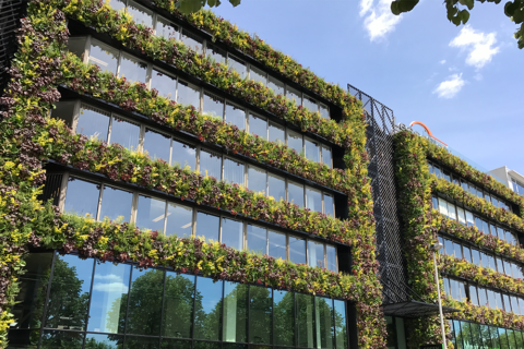 Green facades as a climate solution